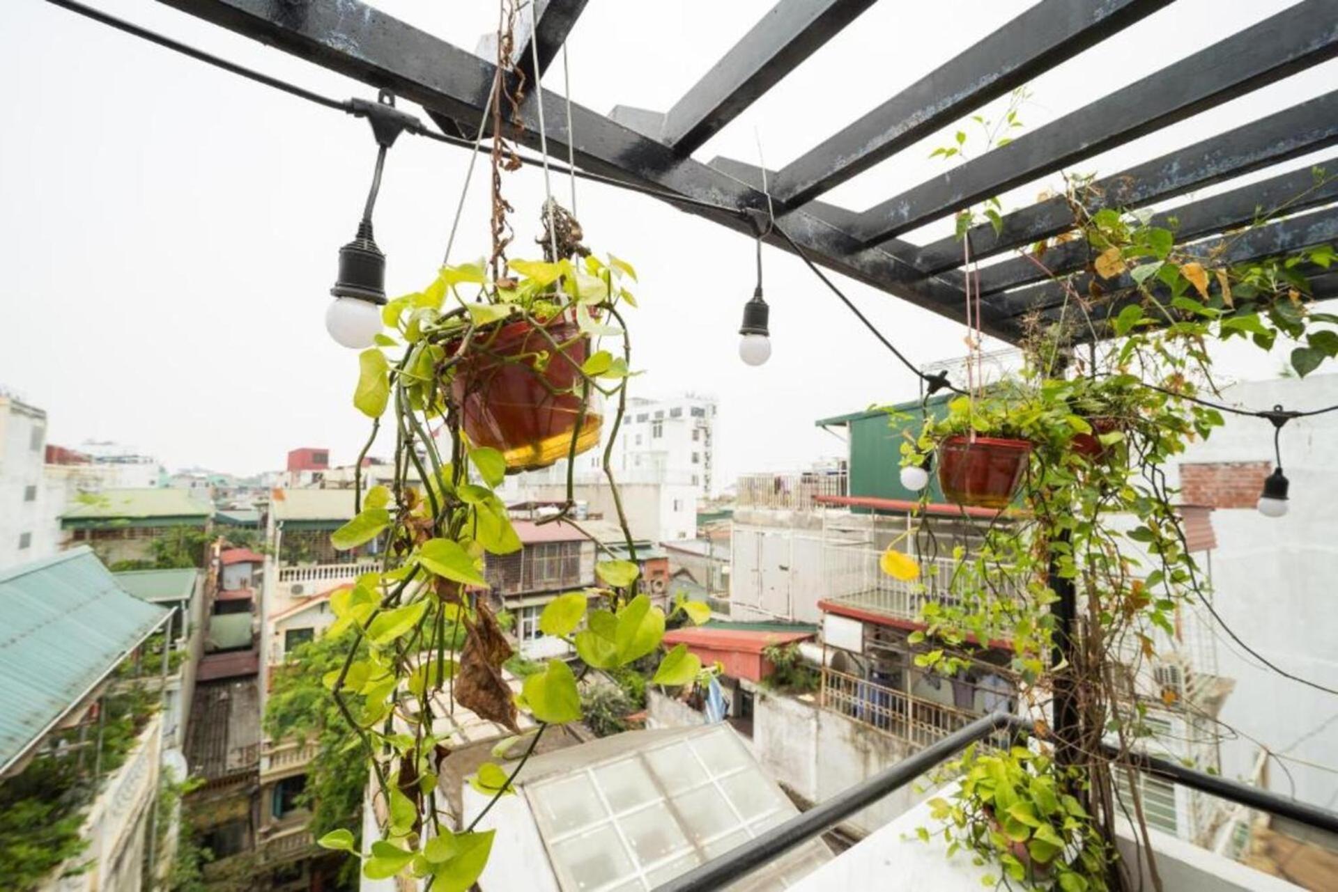 Ubuntu Hostel And Tour - 139 Hang Bac ハノイ市 エクステリア 写真
